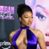 Megan Thee Stallion sues YouTuber over alleged Tory Lanez lies and deepfake porn causing “intentional infliction of emotional distress”