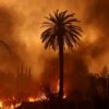 Benefit concert for victims of Los Angeles wildfires announced